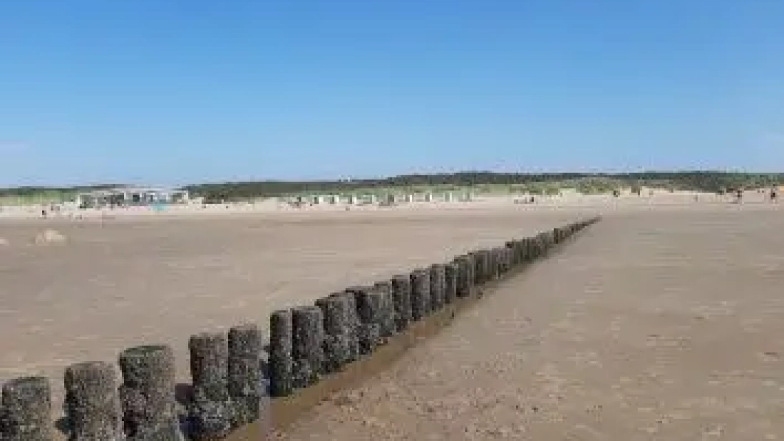 meer
